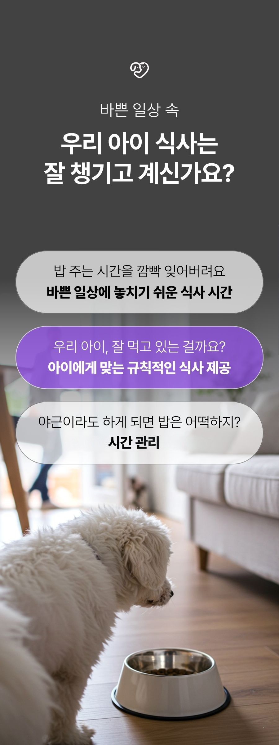 디클펫 4L 자동급식기, 4만 원대 외출 필수템일까? 3 디클펫 4L 반려동물 자동급식기 실물 제품 사진 3